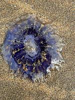 IMG-20250525-WA0041