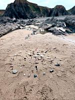 IMG-20250525-WA0044