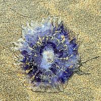 IMG-20250525-WA0052