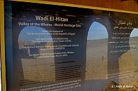Wadi El-Hitan