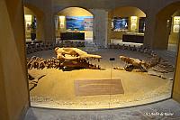 Wadi El-Hitan museum